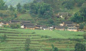 那野自然村 那野自然村