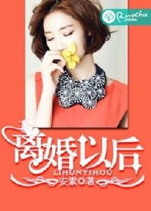 離婚以後[網路言情小說]