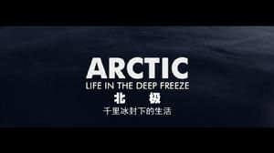 北極：冰天雪地中的生活