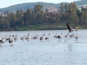 下付村自然村 下付村自然村