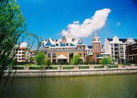 高橋鎮[湖北省紅安縣高橋鎮]