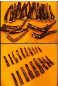 海柳菸嘴 海柳菸嘴