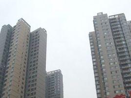 朵力尚美國際 朵力尚美國際