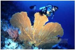 馬紹爾群島共和國