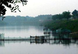 山東東營仙河鎮 山東東營仙河鎮