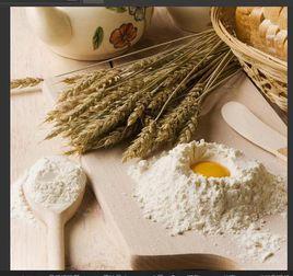 烘焙原料 烘焙原料