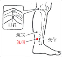 陰谷、築賓、復溜、交信穴