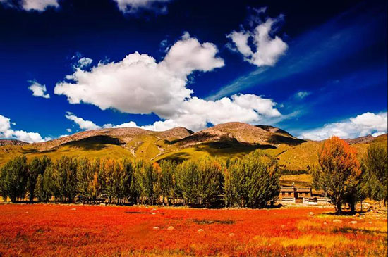 9月,老子不上班,請假去稻城!