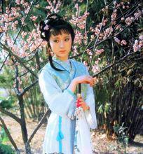 林黛玉葬花[文學名著《紅樓夢》經典片段]