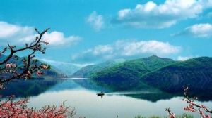 鴨綠江河口地區 鴨綠江河口地區