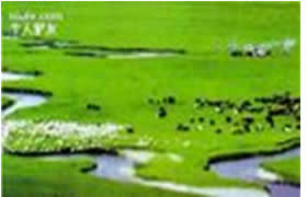 巴彥淖爾市國營蘇獨侖農場