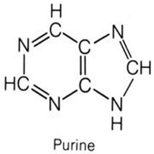 嘌呤 嘌呤