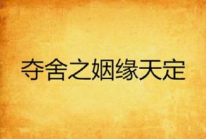奪舍之姻緣天定 奪舍之姻緣天定