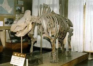 諸城白堊紀恐龍地質公園