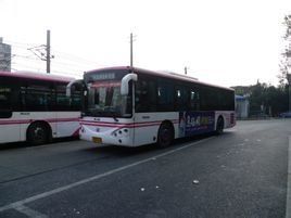 蓮浜專線 蓮浜專線