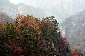 灣溝國家森林公園