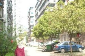 豐收小區 豐收小區