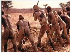 世界土著人國際年