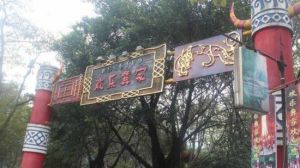 歡樂彝家民族晚會 歡樂彝家民族晚會