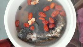 山斑魚黑棗湯 山斑魚黑棗湯