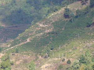 上中山自然村 上中山自然村