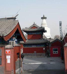 郊廟禮成受賀儀如元正儀 郊廟禮成受賀儀如元正儀