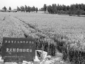 圖為位於淇縣縣城東關的衛國制骨作坊遺址