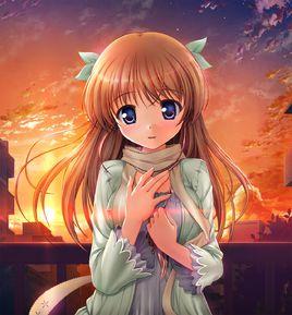 白崎緒美 白崎緒美