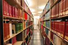 LION國際暑期學校