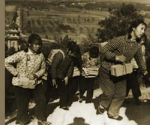 1975年修建烈士塔，婦女同志背磚塊