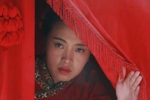 女將軍李貞浴血瀏陽河