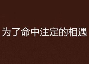 為了命中注定的相遇 為了命中注定的相遇