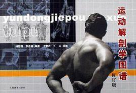 運動解剖學圖譜 運動解剖學圖譜