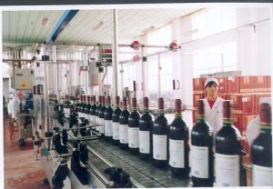 西夏王葡萄酒生產車間