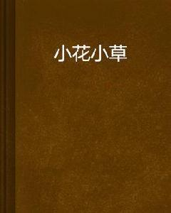 小花小草 小花小草