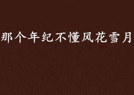 那個年紀不懂風花雪月