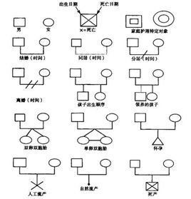 家系圖