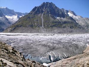 阿萊齊冰川
