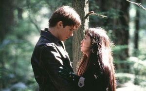 落在香杉樹的雪花  劇照