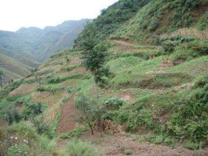 蘭台巴村 蘭台巴村