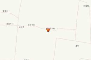 李淳于村 李淳于村