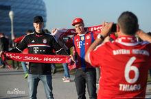 逆境中南部之星從來沒有放棄自己的球隊