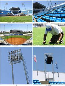 國際壘球聯合會