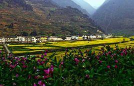 南平鎮[重慶市南川區南平鎮]