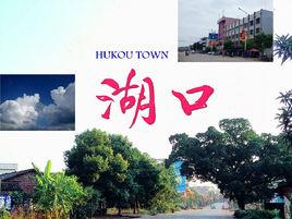 湖口鎮[廣東省南雄市]