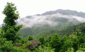 大容山國家森林公園