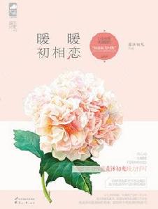 暖暖初相戀 暖暖初相戀