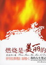 燃燒是美麗的:我的人生筆記 燃燒是美麗的:我的人生筆記