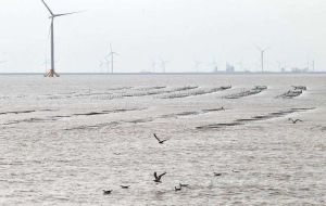 潮間帶風電場 潮間帶風電場