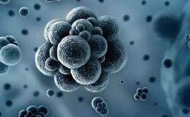 定量風險評估 定量風險評估